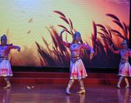 蒙古舞《鸿雁》轻盈的舞步和优美的舞姿为观众带来视觉享受