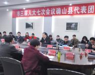 确山县代表团审议陈星市长在驻马店市三届人大七次会议上所作的政府工作报告