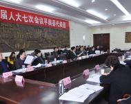 平舆县代表团审议陈星市长在驻马店市三届人大七次会议上所作的政府工作报告