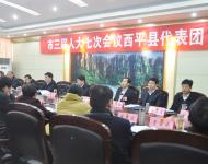 西平县代表团审议陈星市长在驻马店市三届人大七次会议上所作的政府工作报告