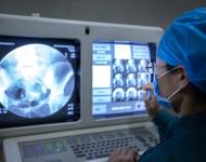 诊断（摄影/张爱武）