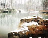 残存的干枯的野草也是美不胜收啊。