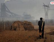 迁安市野鸡坨镇大杨官营村的土地长年累月被燕山钢铁厂的灰尘覆盖着、污染着。整个村子现在居住过千人，1/3人以钢铁厂为生。