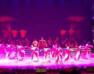 舞蹈《欢乐的日子》