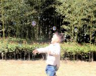 公园内，随处可见孩子们奔跑嬉戏，老人遛弯儿散步。