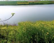 当年寨墙高崇威武，寨沟水波荡漾，寨内有前楼后楼，深宅大院，祠堂家庙，庭台轩榭，小桥流水，景色宜人。