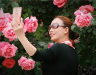 月季花开香满城