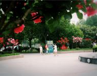 （记者 平筠 图片 李增辰 柳洪善）